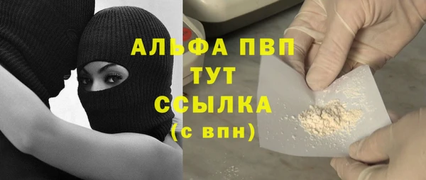 молекула духа Алексин