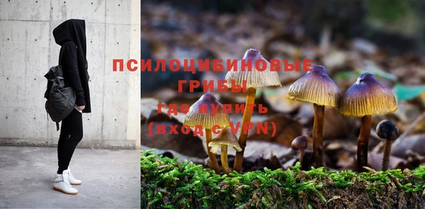 молекула духа Алексин