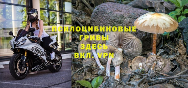 мяу мяу мука Алексеевка