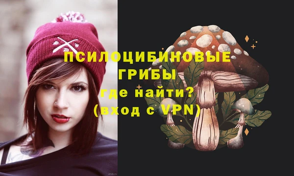 мяу мяу мука Алексеевка