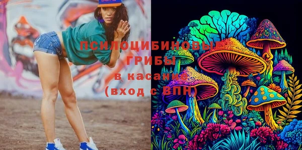 молекула духа Алексин