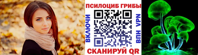 МЕГА ТОР  Киреевск  Галлюциногенные грибы прущие грибы 